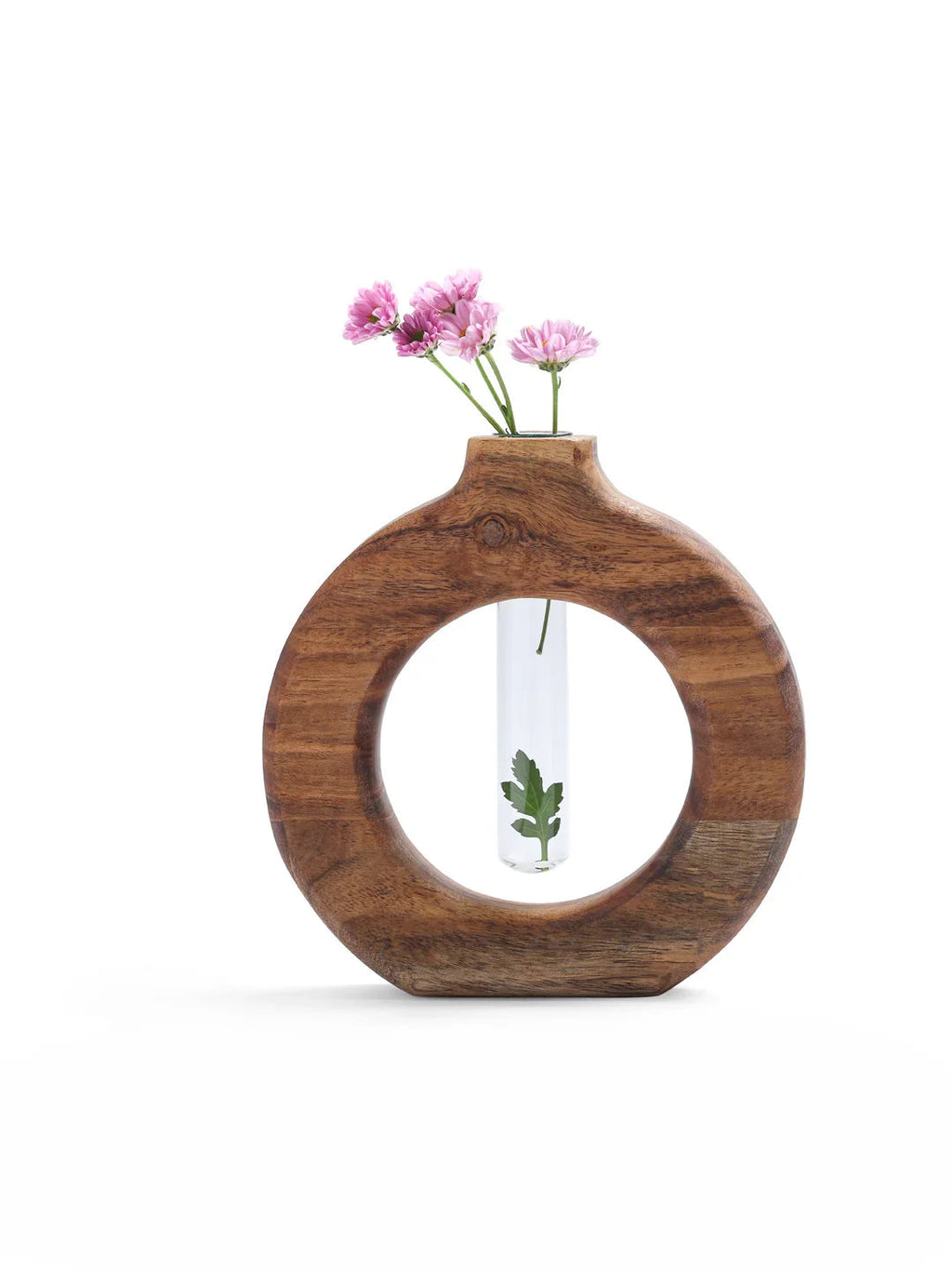 ROUND PLANTER WITH TEST TUBE - SanskrutiHomes 