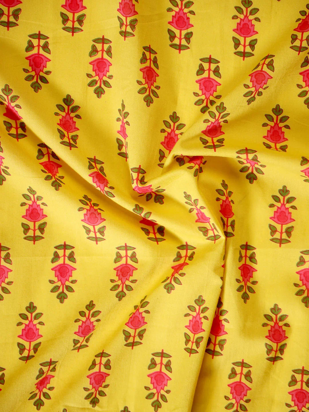 SEF-24 - SanskrutiHomes 