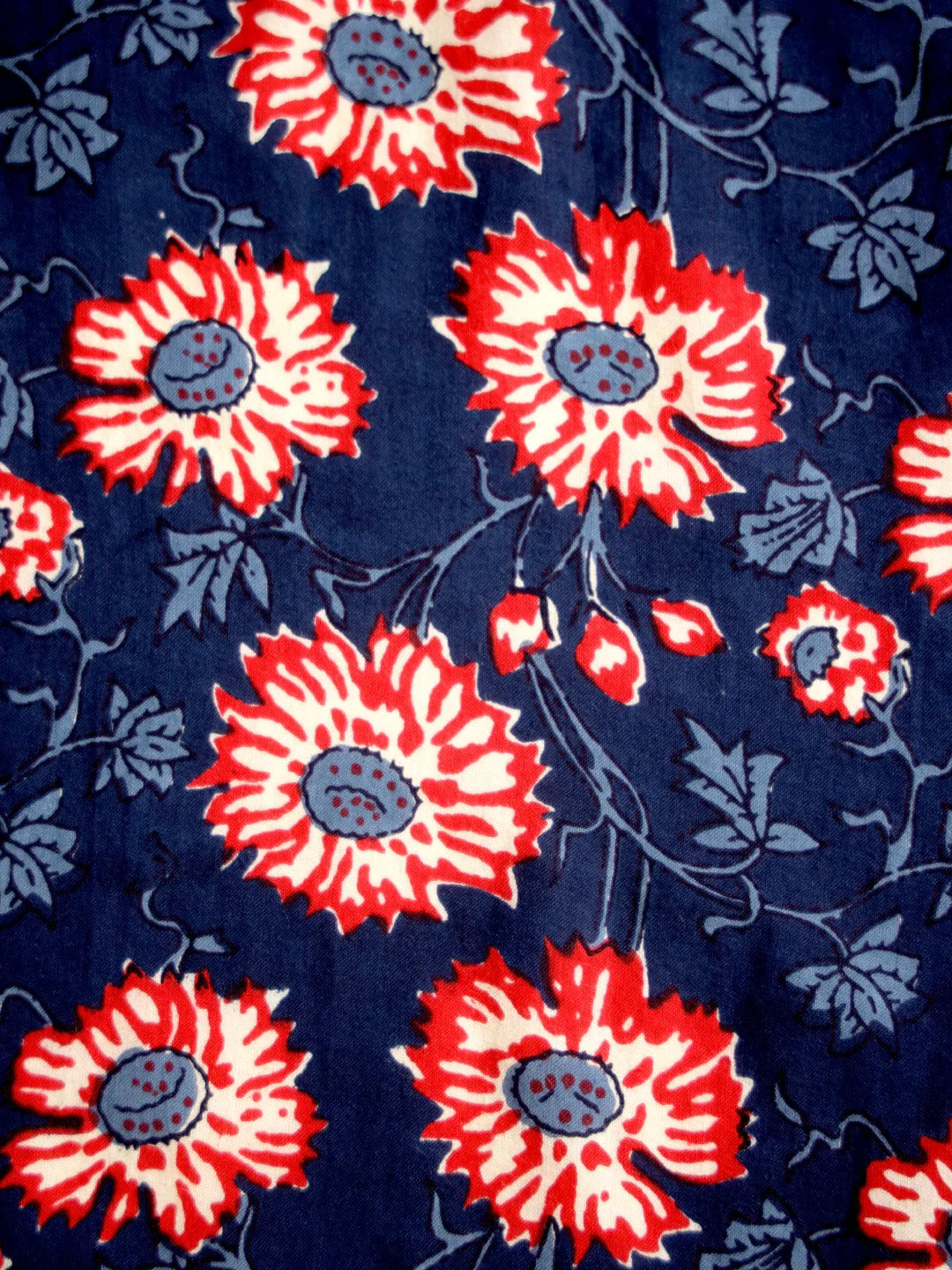 SEF-23 - SanskrutiHomes 